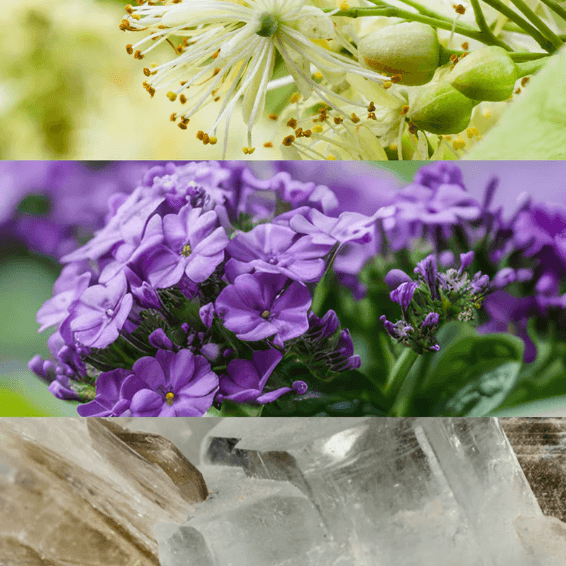 Tayda Eau de Parfum Mujer Yodeyma