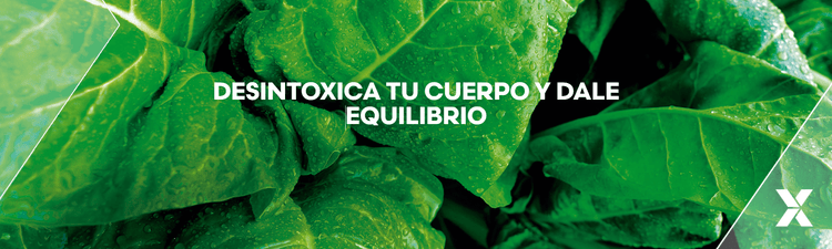 Detox, limpia tu cuerpo por dentro