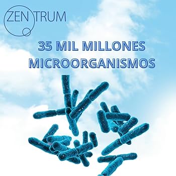 Probiotico Zentrum Active Fermentun Probiótico Defensas 30 Cápsulas