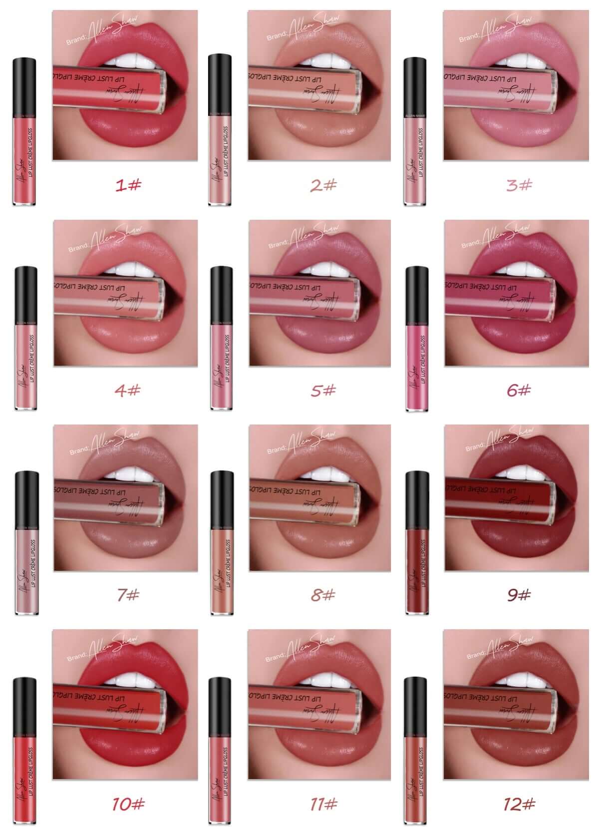 Brillo de Labios Exclusivo Aliexpress Shopee - Lip Glaze