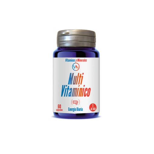 Multivitamínico 60 Cápsulas Ynsadiet