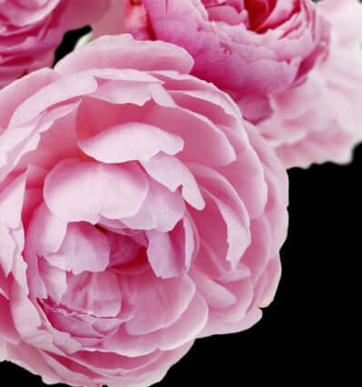 Eau de Parfum DELÁ Equivalencia de Yodeyma