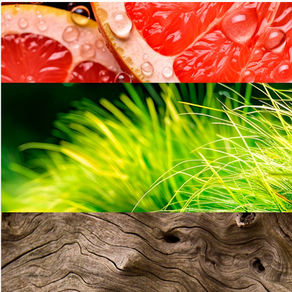 Oseus Eau de Parfum The Niche collection