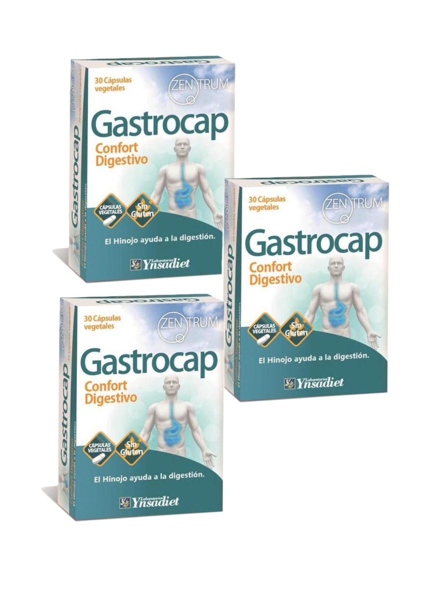 Zentrum Gastrocap 30 Cápsulas - Complemento Digestivo Ynsadiet