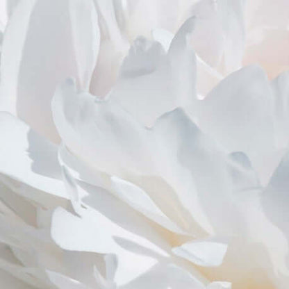 VÁLIA Eau de Parfum 100- 50 - 15ml Equivalencia de Yodeyma