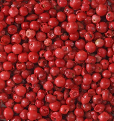 CARIBBEAN Fragancia para hombre Eau de Parfum