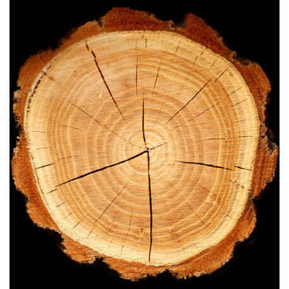 PLATINUM Eau de Parfum 100ml - Fragancia Masculina